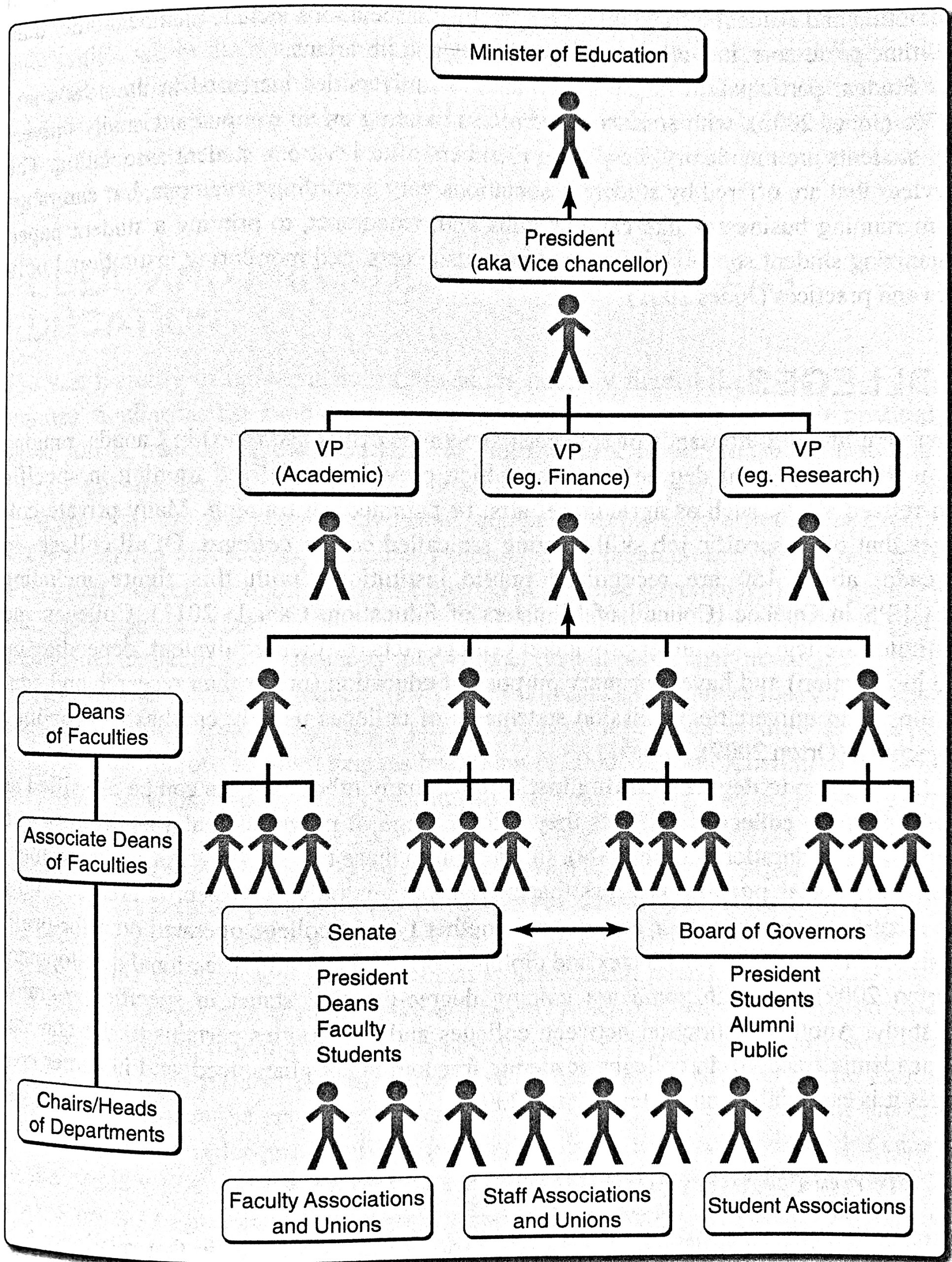 The multilayered hierarchy is headed by the MInister. The President | Vice Chancellor follows with a number of VPs reporting up to her|him. Deans and Associate Deans report up with involvement from the Senate and Board of Governors. Chairs or Heads of Departments report to ADs. Faculty Associations and Unions; Staff Associations and Unions; and Student Associations complete the decision-making structure.