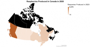 A map graph showing that provinces produce different amounts of raspberries, with higher amounts produced in darker areas.