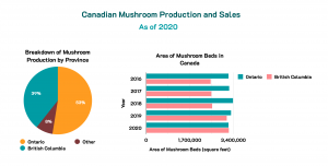 A dashboard showing a pie chart of production by province and a bar chart of beds in Ontario and British Columbia.