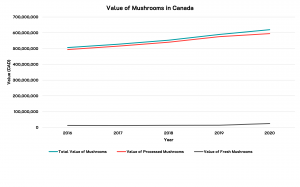 A line graph of an overall increasing trend, though the value of fresh is much lower than processed or total mushrooms.