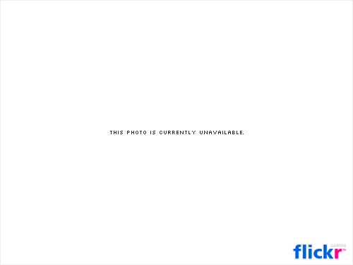 An image of a white box with black text inside that says, "This Photo is Currently Unavailable"
