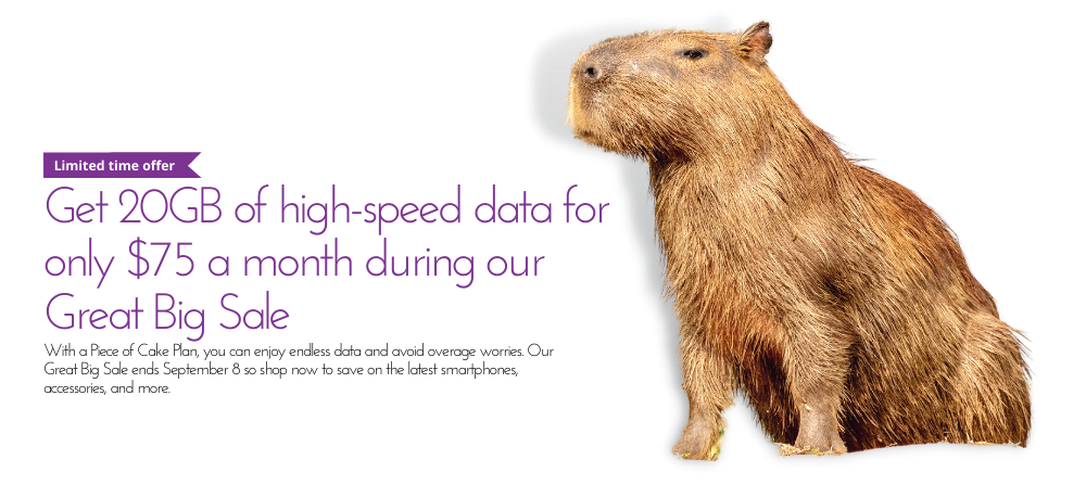 White text on a small purple banner reads "Limited time offer." Below, large purple text on a white background reads "Get 20GB of high-speed data for only $75 a month during our Great Big Sale.” Underneath this announcement, small black text reads “With a Piece of Cake Plan, you can enjoy endless data and avoid overage worries. Our Great Big Sale ends September 8 so shop now to save on the latest smartphones, accessories, and more.” To the right of this text is an image of a capybara.