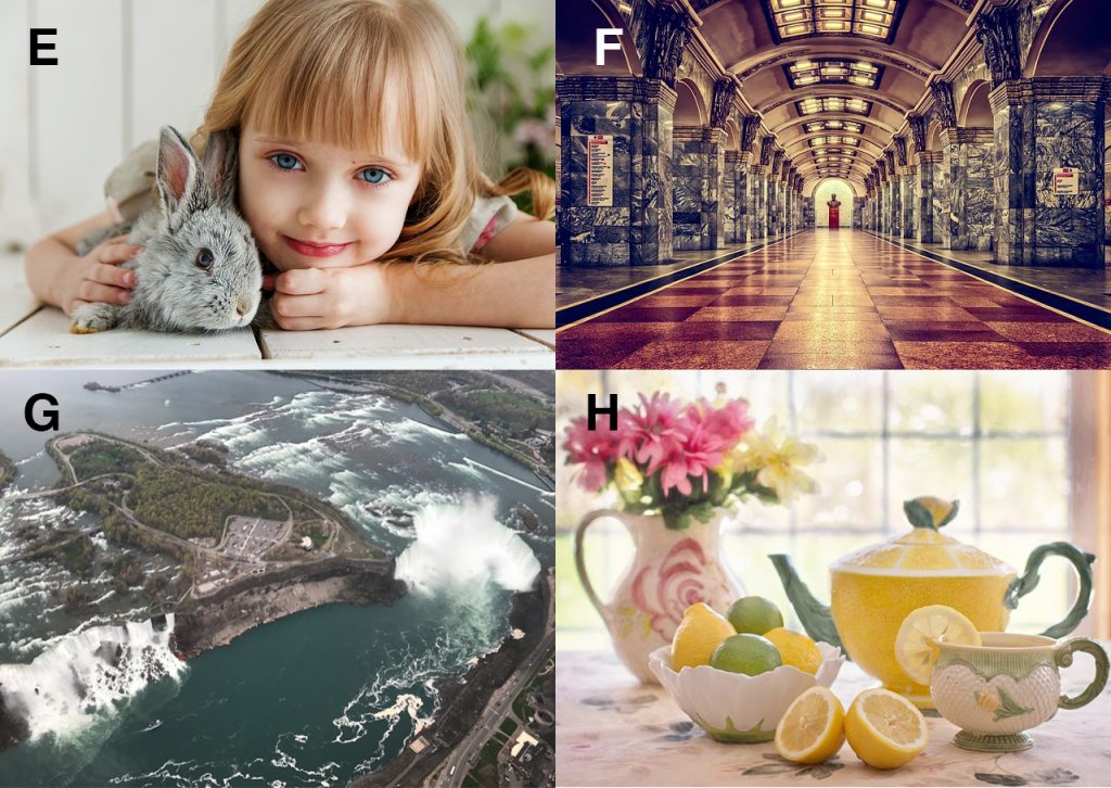 Examples of portrait, Architectural, Landscape, and Still life images