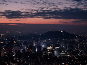 Seoul City View