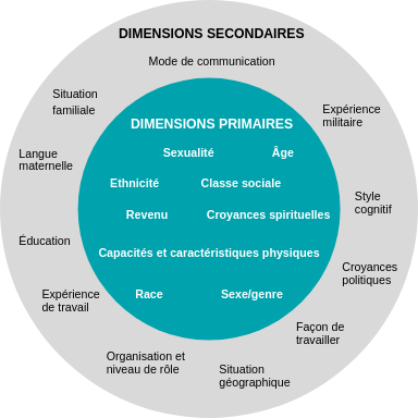 DIMENSIONS SECONDAIRES Mode de communication Expérience militaire Style cognitif Croyances politiques Façon de travailler Situation géographique Organisation et niveau de rôle Expérience de travail Éducation Langue maternelle Situation familiale Inner circle DIMENSIONS PRIMAIRES Âge Classe sociale Revenu Sexe/genre Race Croyances spirituelles Ethnicité Sexualité Capacités et caractéristiques physiques