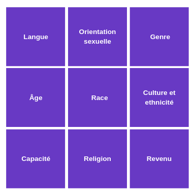 Langue Orientation sexuelle Genre Âge Race Culture et ethnicité Capacité Religion Revenu