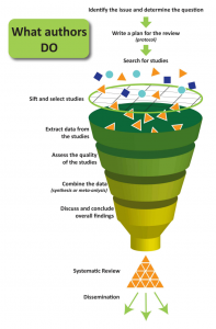 Infographic describing how authors conduct a review. See full description below