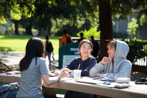 Friends studying outside on campus