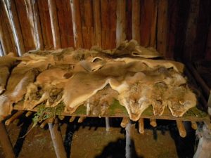A sleeping compartment lined with furs.
