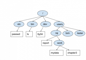 Ellipse containing / at top, 4 ellipses connected with lines beneath top ellipse containing words etc, bin, dev, users. Rectangles beneath ellipses represent files.