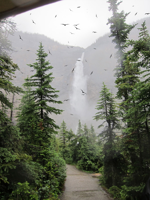 The same photo edited. Fying birds were added digitally to the image.