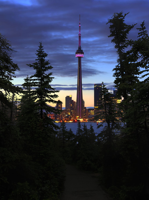 The previous image was edited, replacing the waterfall with the image of a city. The forest threes remain, darkened to adapt to the city image's lighting, creating a frame around the picture