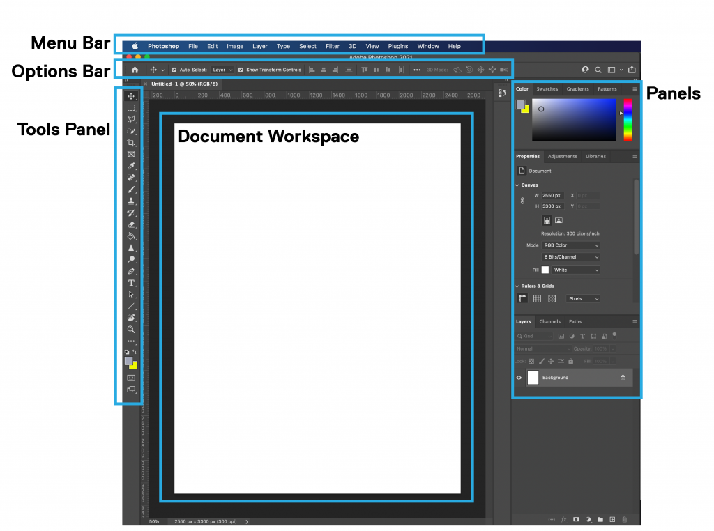 Graphic highlighting where the menu bar, options bar, tools panel, other panels, and document window is located in the Photoshop user interface.