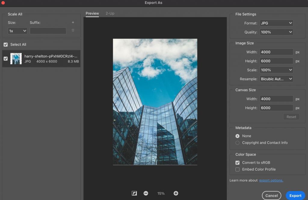 Screen capture of Exporting panel on Photoshop. The edited image with the blue sky is about to be exported as a JPG file.
