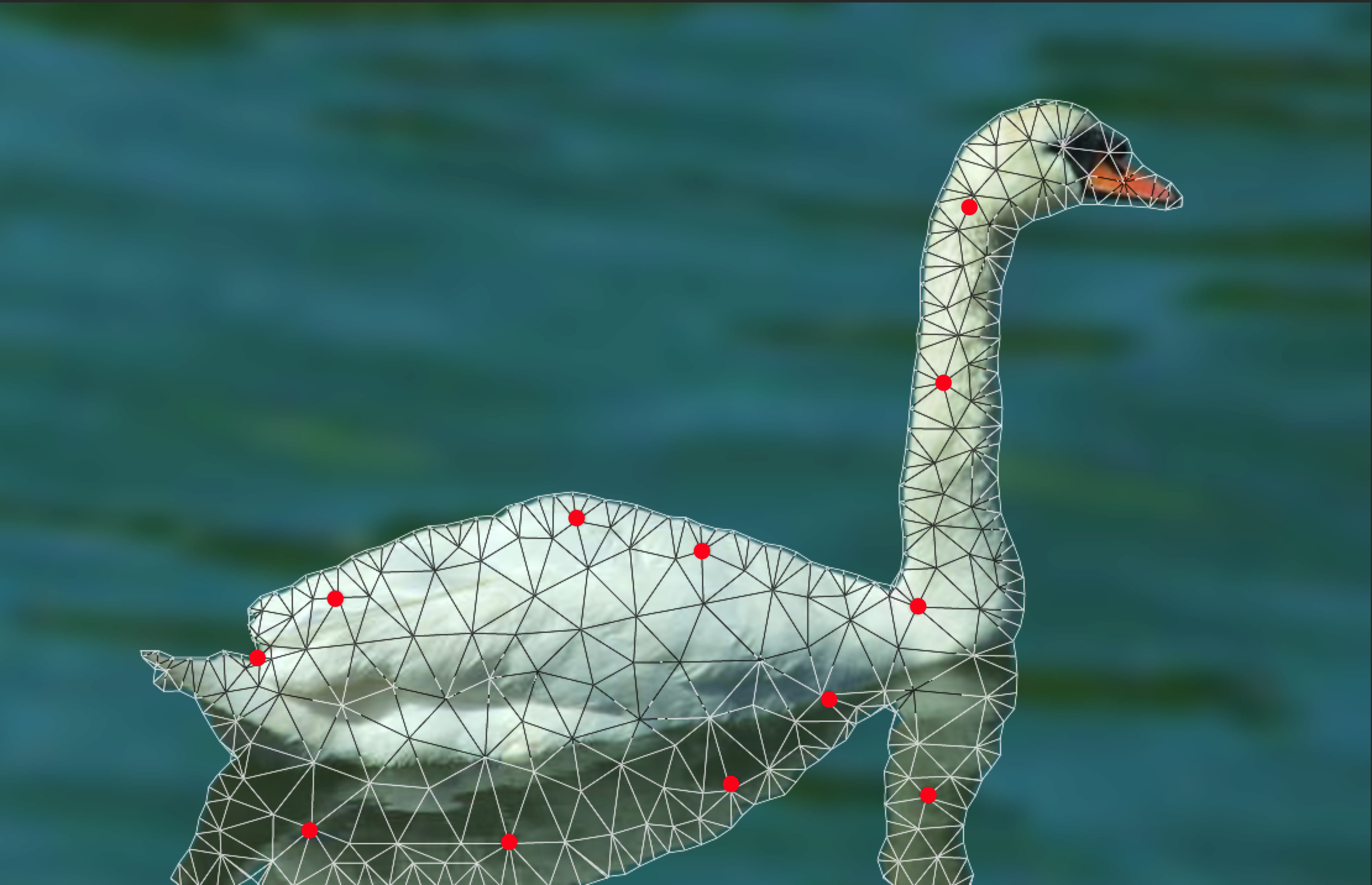 Demonstration of how the Mesh selection should look over the Swan. A total of 12 pins were placed in the mesh, most of it in the borders of the Swan shape.