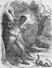 Harry about to strike a snake with an axe