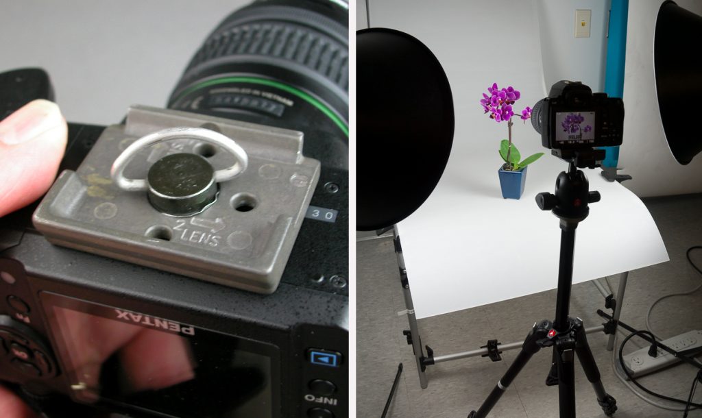 Close up of a quick-release tripod mount