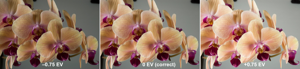 Bracketed series of exposures include -0.75 EV (left, underexposed), 0 (center, correct exposure), and +0.75 EV (right, overexposed).