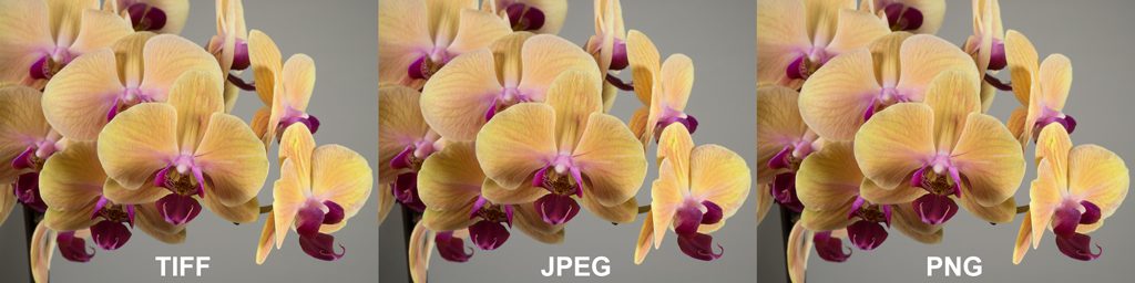 Comparing three (3) identical images in different formats (TIFF,JPEG,PNG)