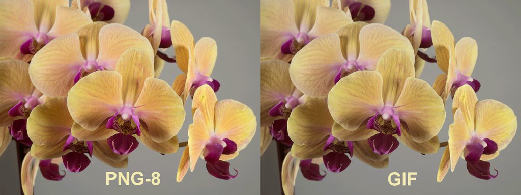 The same image is saved in GIF and PNG-8 format.