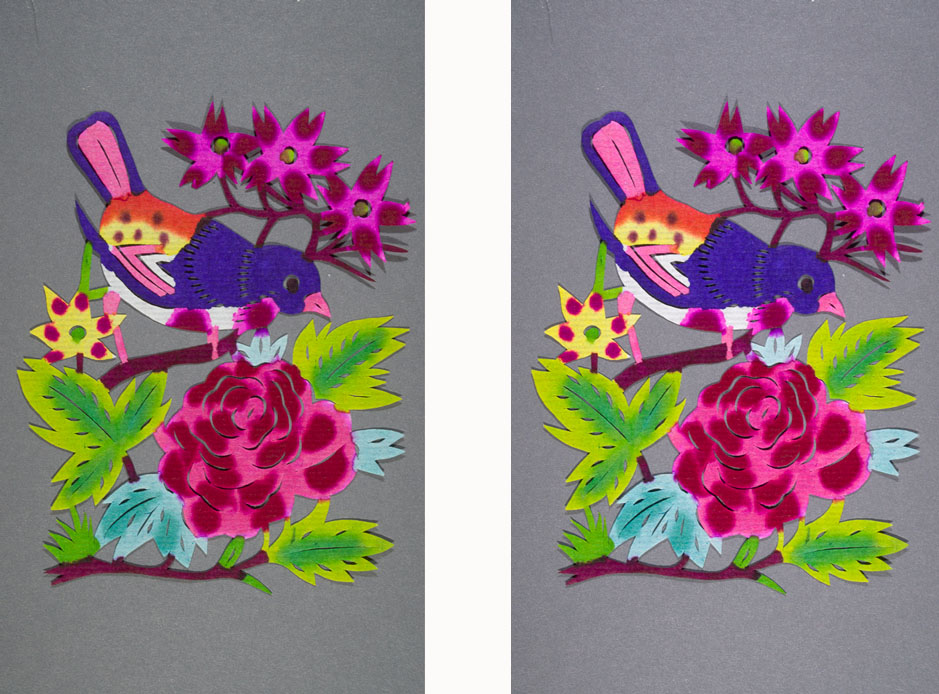 Comparison of the same image with image on right having corrected grey scale.