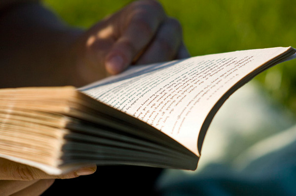 Person reading a book.