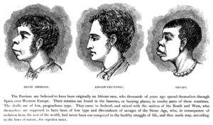 19th-century scientific racism illustration comparing the skull structures and profiles of Irish, Anglo-Teutonic, and Negro individuals.