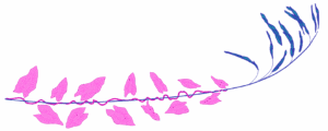 A digital drawing of a stem of Brome's grass entangled with bindweed. The grass is coloured a dark blue, with dangly seeds clustered at its top. The bindweed is wound upward around its stem, coloured bright pink, with heart shaped leaves. Brome's grass is a non-native invasive grass, brought intentionally by white colonizers to feed cattle. Bindweed is a non-native invasive weed which springs up in disturbed areas and grows tightly around (even chokes out) other plants - often other invasives in disturbed areas.