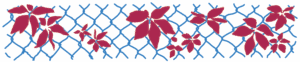 A digital drawing of a vine growing on a chain link fence. The fence pattern is a grey blue, with the dark red leaves of the vine suspended over it, each leaf made up of five diamond shaped leaflets. This vine is modelled after Parthenocissus quinquefolia, the common name I (Finn) was taught is virginia creeper. It's a native vine to this area (in Tkaronto) which turns blood red in the fall and grows dusty blue berries which are poisonous to people, but not to birds.