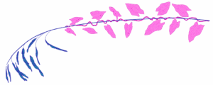A digital drawing of a stem of Brome's grass entangled with bindweed. The grass is coloured a dark blue, with dangly seeds clustered at its top. The bindweed is wound upward around its stem, coloured bright pink, with heart shaped leaves. Brome's grass is a non-native invasive grass, brought intentionally by white colonizers to feed cattle. Bindweed is a non-native invasive weed which springs up in disturbed areas and grows tightly around (even chokes out) other plants - often other invasives in disturbed areas.
