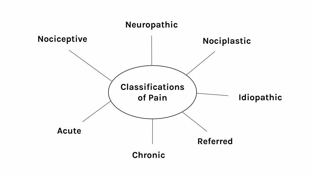 Chart showing classifications of pain - neuropathic, nociplastic, idiopathic, referred, chronic, acute, nociceptive.