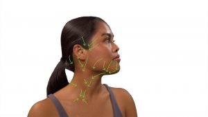 Lymph node drainage areas identified with green arrows on the head and neck.