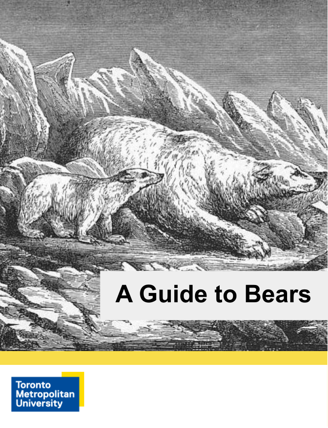 Cover image for A Guide to Bears