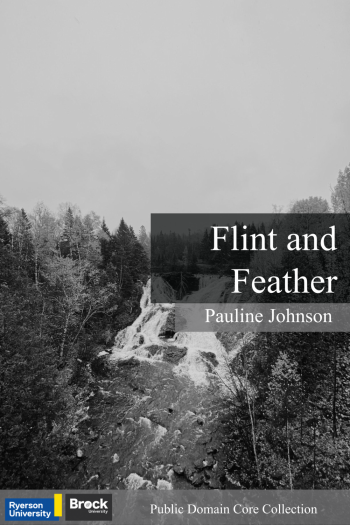 Cover image for Flint and Feather