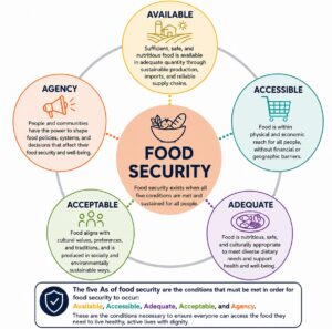 Overview of the 5As of food security: availability, accessibility, adequacy, acceptability, and agency.