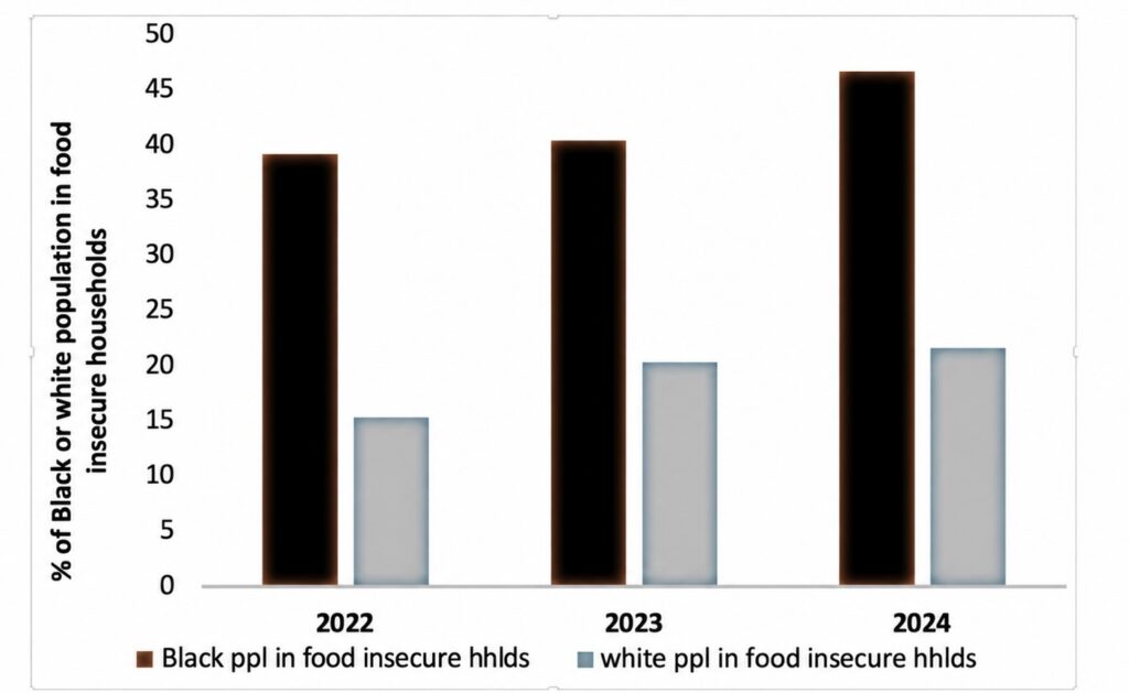Timeline titled “Black Food Sovereignty in Action,” showing initiatives and conferences from 1995 to 2025, including the Afri-Can FoodBasket, Black Food Sovereignty Toronto, and Black Food Sovereignty Alliance.