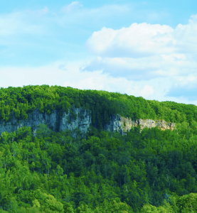 Photo of Green Cliff