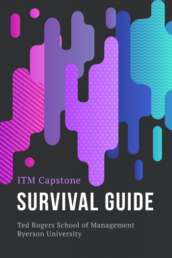 Cover image for ITM Capstone Survival Guide