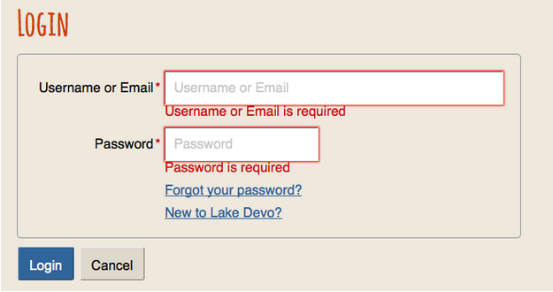 Login Form