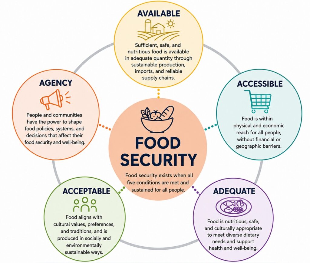 Figure 1: The five conditions of food security: availability, accessibility, adequacy, acceptability, and agency.