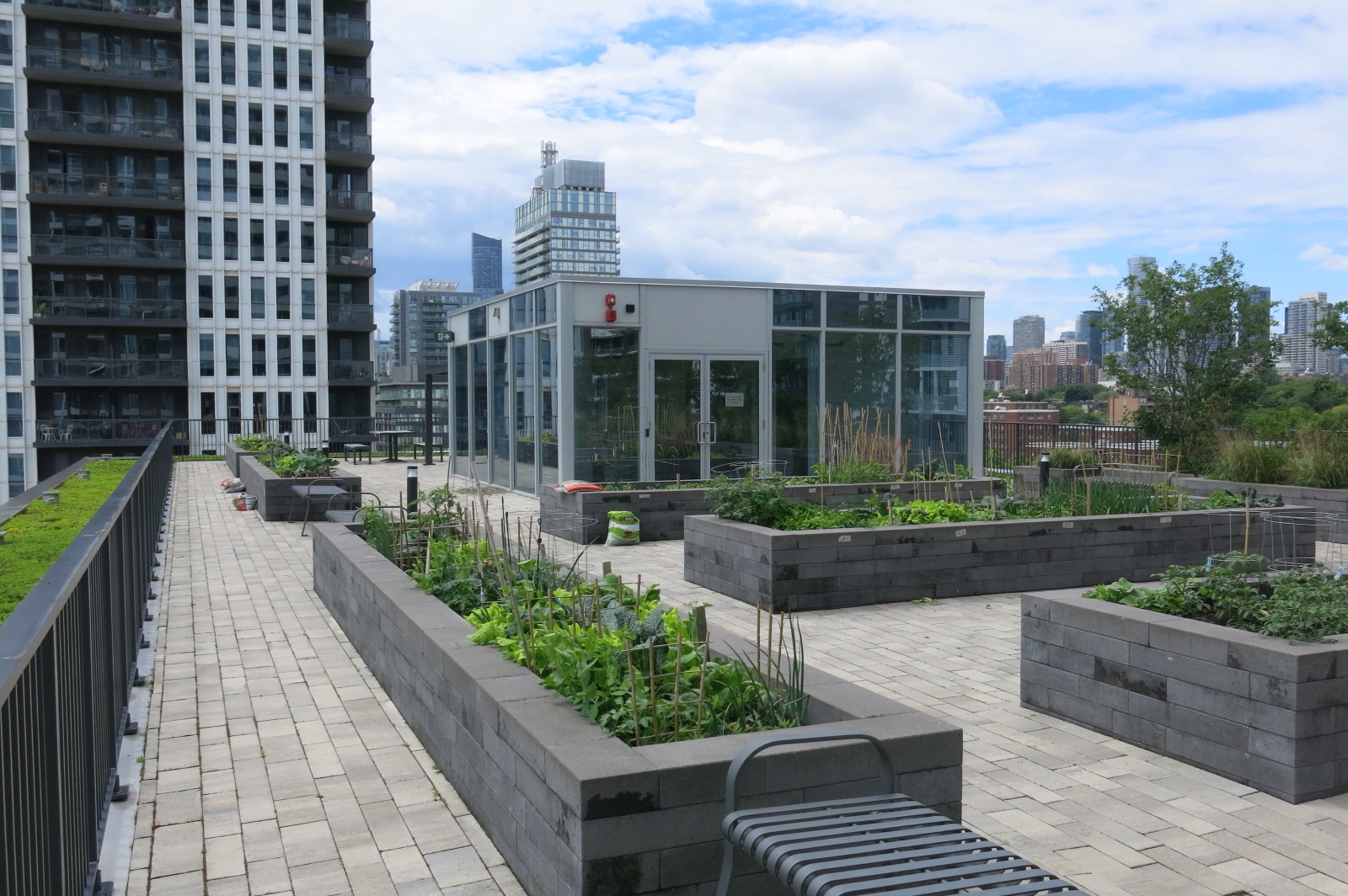 Photo by Joe Nasr Raised beds for community gardening on an apartment building roof in Regent Park, Toronto.