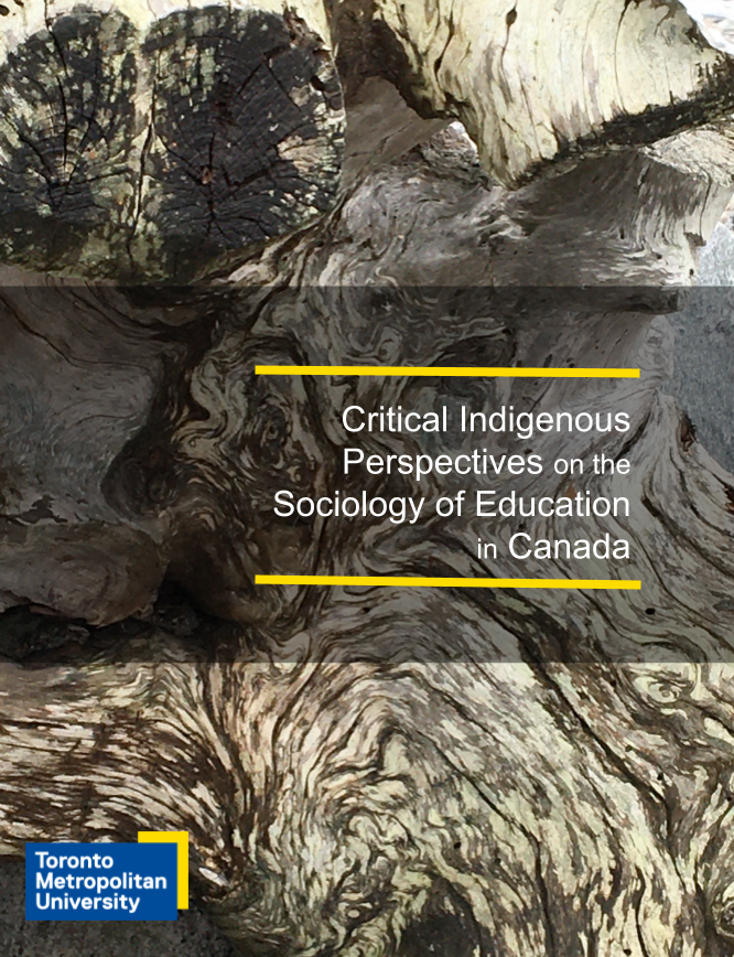 Cover image for Critical Indigenous Perspectives on the Sociology of Education in Canada