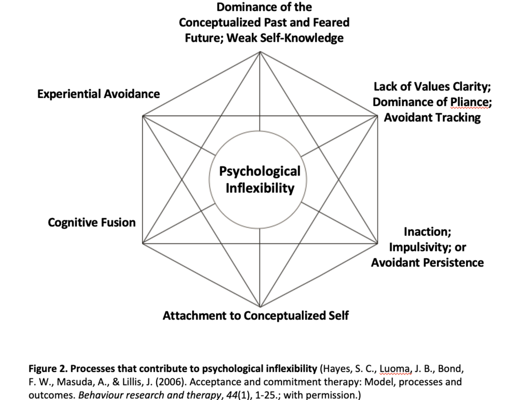 Hexaflex: The ACT model of psychological flexibility – Acceptance and ...